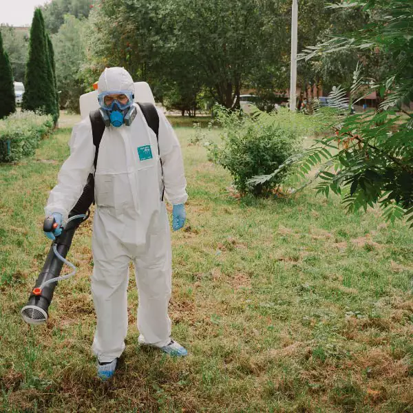 Акарицидная обработка